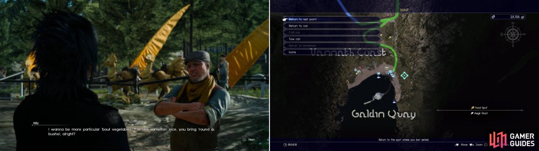 Wiz will ask you to find him some Aegir roots so he can spice up his menu (left). Some can be found just east of Galdin Quay, if you don&rsquo;t mind a road trip (right).