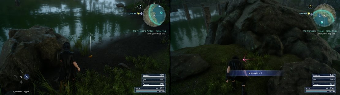 Search around the Forgotten Pool Fishing Spot to find yellow frogs (left), and while you&rsquo;re here, search a Treasure Spot to find a Megalixir (right).