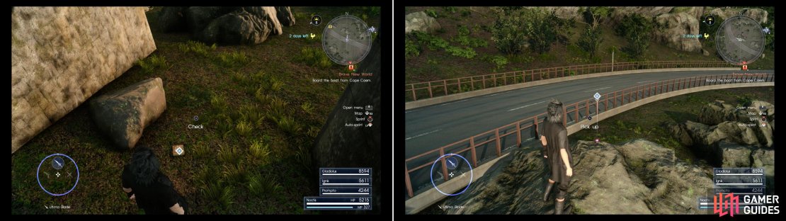 Search under the highway to find a magazine that&rsquo;ll teach Ignis a new recipe (left) then scale a rock to find a Treasure Spot that yields a Cactuary Needle (right).