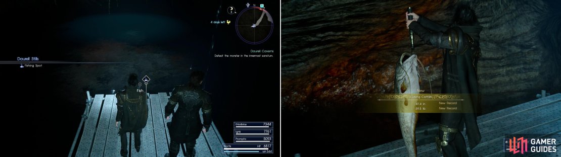 Shortly after the split path reunites you&rsquo;ll find the Daurell Stills Fishing Spot (left), where you can catch new varities of fish (right).