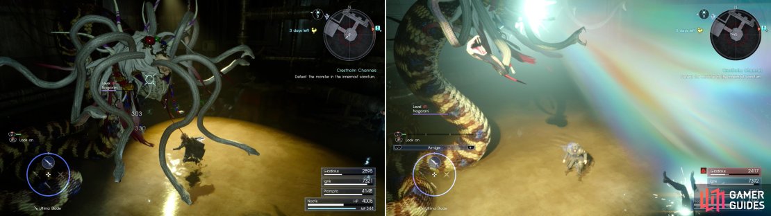The Nagarani&rsquo;s lair doesn&rsquo;t provide an ideal battleground, but you&rsquo;ll need to exterminate it if you want to continue on (left), in addition to its melee attacks, be wary of its ability to turn characters into frogs (right).
