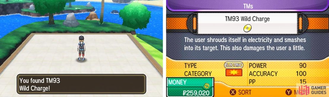 A decent Electric-type move for compatible physical attackers.