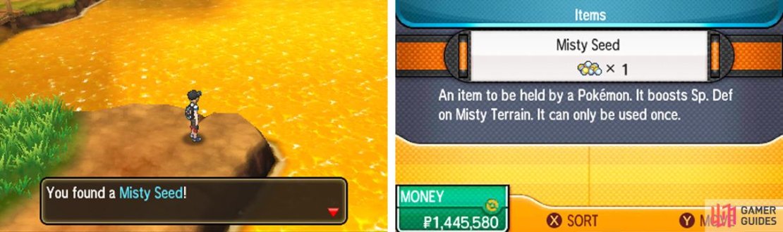 A good hold item for Tapu Fini.