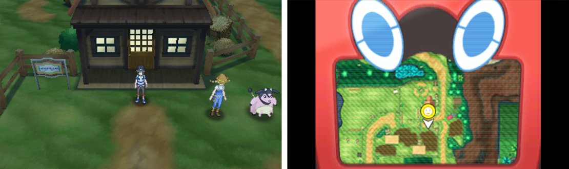 Breeding perfect Pokemon takes time, but it&rsquo;s hugely satisfying!