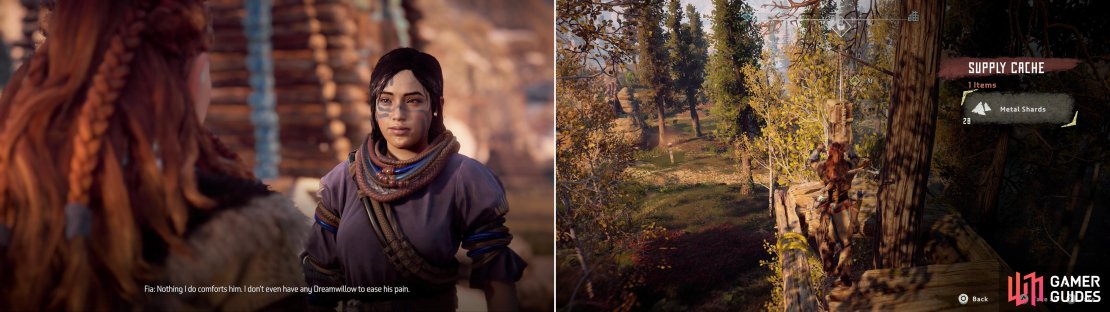 Talk to Fia to learn that she&rsquo;s short a critical herb, and that wounded braves are suffering because of it (left). Search two Supply Caches in the wilderness to find that stockpiles of the herb are surprisingly missing (right).