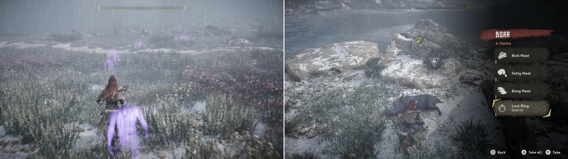 Track Taim&rsquo;s past movements (left) to find a dead Boar, inside of which youll find Taim&rsquo;s Lost Ring (right).
