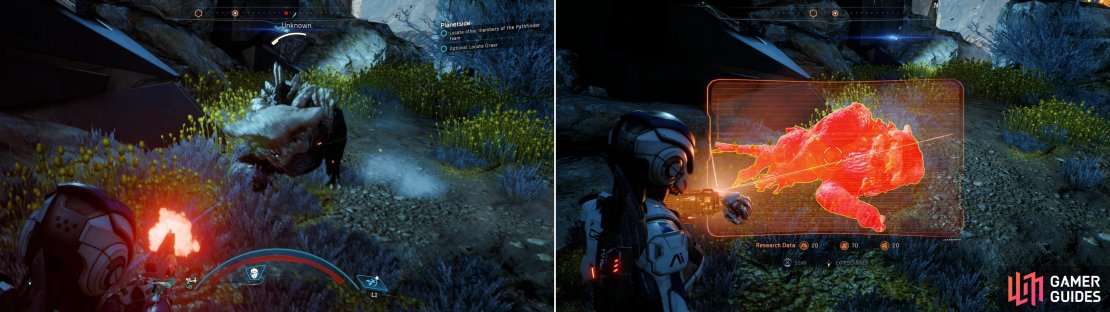 Be wary of a cloaked quadruped (left) which will attempt to ambush you. After it&rsquo;s dead, be sure to scan it (right) for a great deal of Heleus Research Data.