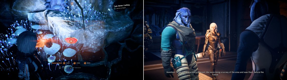 In the Remnant ruins, consider picking up some fermentable mushrooms (left). When you return to the Pelaav Research Station you&rsquo;ll over hear some chatter about Turians on Havarl (right).