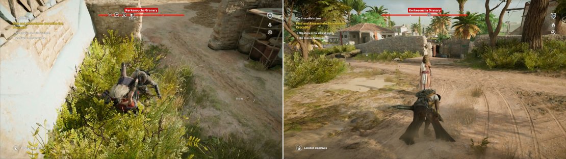 There&rsquo;s ample foliage in the estate for you to hide in, making it a trivial manner to dispatch the guards (left). When her attendants are gone, close in on and eliminate the Crocodile (right).