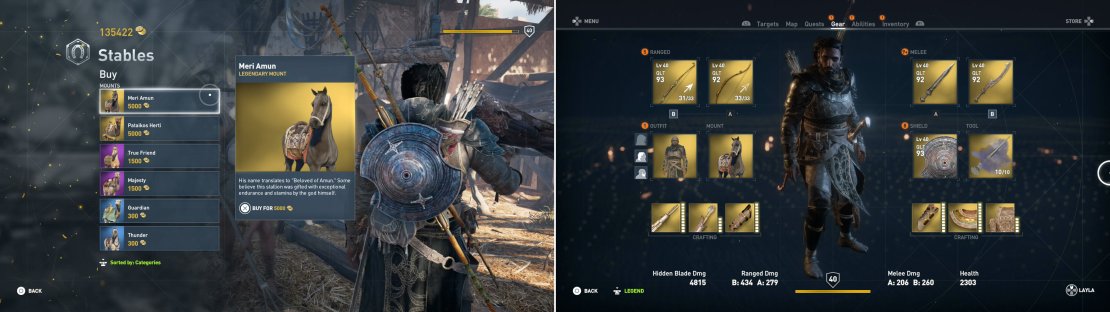 Obtaining a legendary mount through normal gameplay can be tricky, but with the &ldquo;Backstore&rdquo; ability you can buy legendary mounts from a stable (left). In general, though, expect it to take quite a while to get enough legendary equipment to fill up every slot (right).