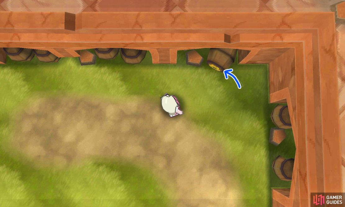 096: In the top right corner of the middle space outside Hapu&rsquo;s house.