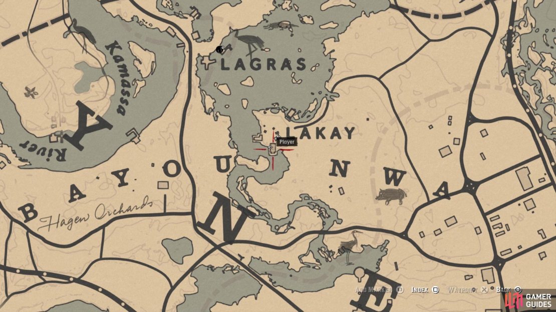 The location of the Coral Snake card on the map