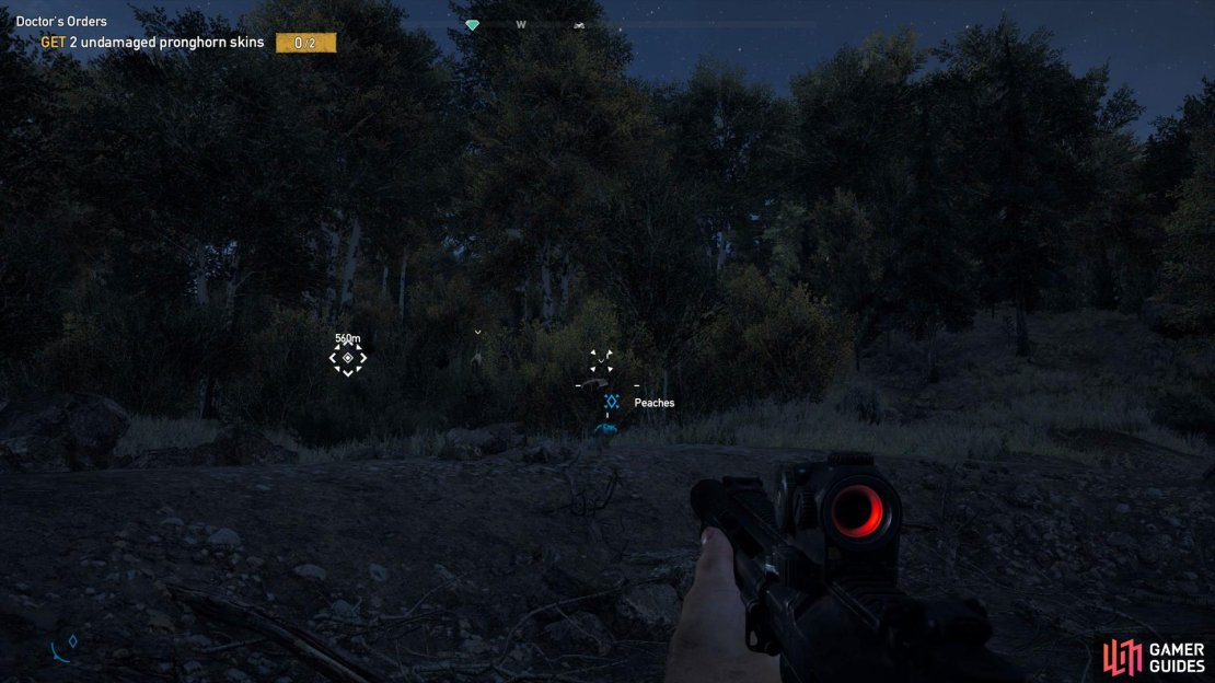 There&rsquo;s nobody better than Peaches when it comes to hunting.