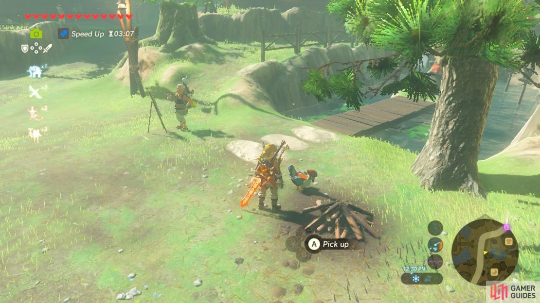 This is the Cucco by the fire