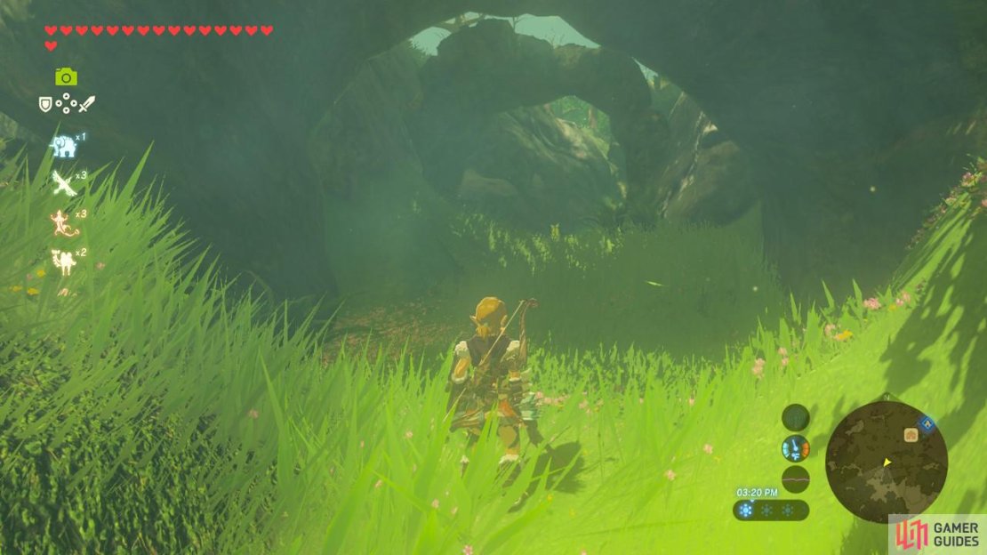 Find the archway in the southwest area of the forest that leads into the Lost Woods