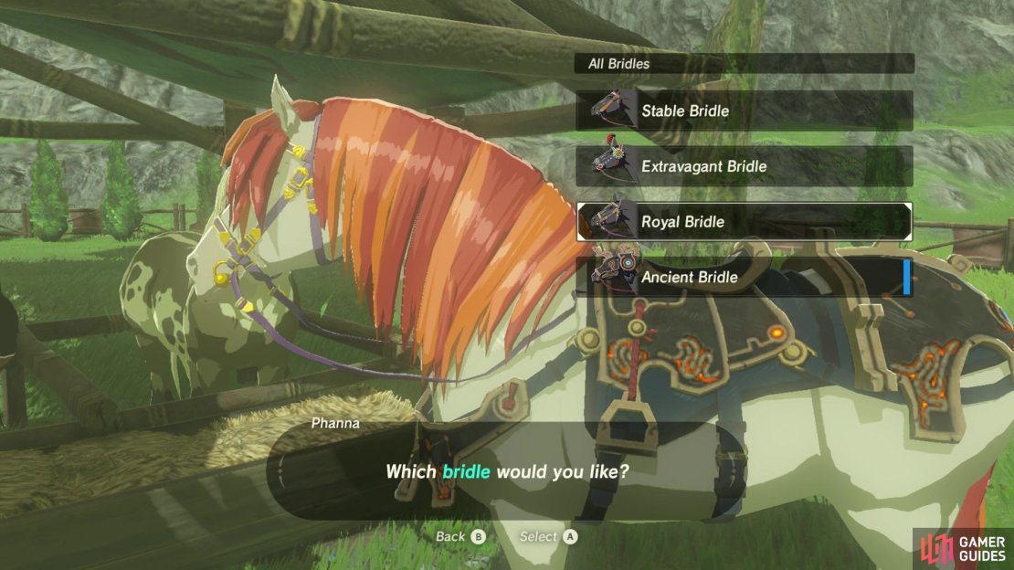 You can change your horse&rsquo;s mane, bridle and saddle!