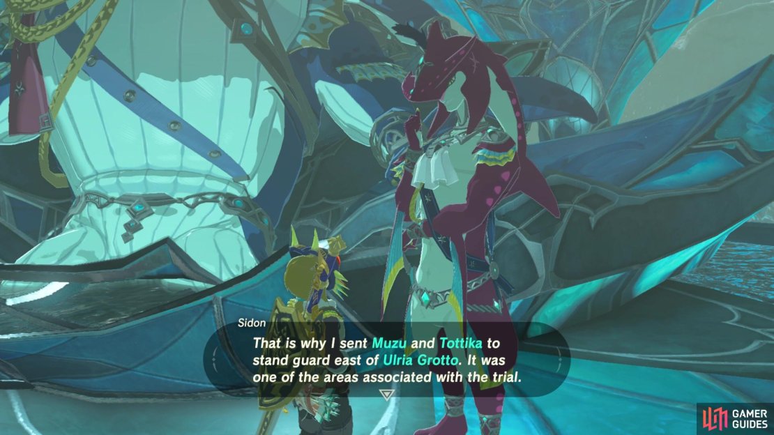 Speak to Sidon to get more information on where to find one of the shrines.