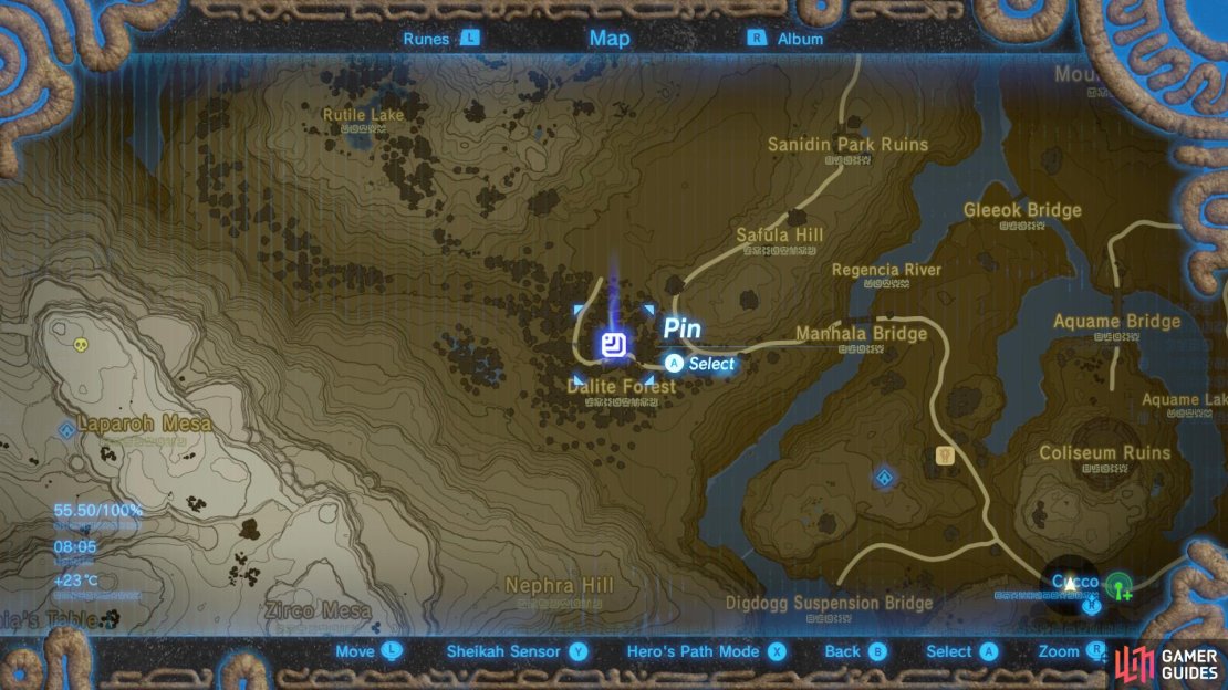 Dalite Forest, en route to Satori Mountain.