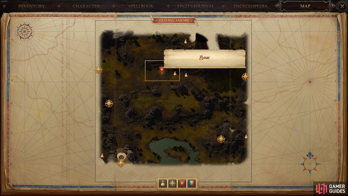 The location of the boar on the map of Old Sycamore.