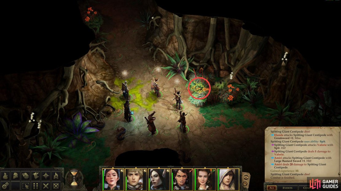 In some verdant chambers you&rsquo;ll find a Token of the Dryad