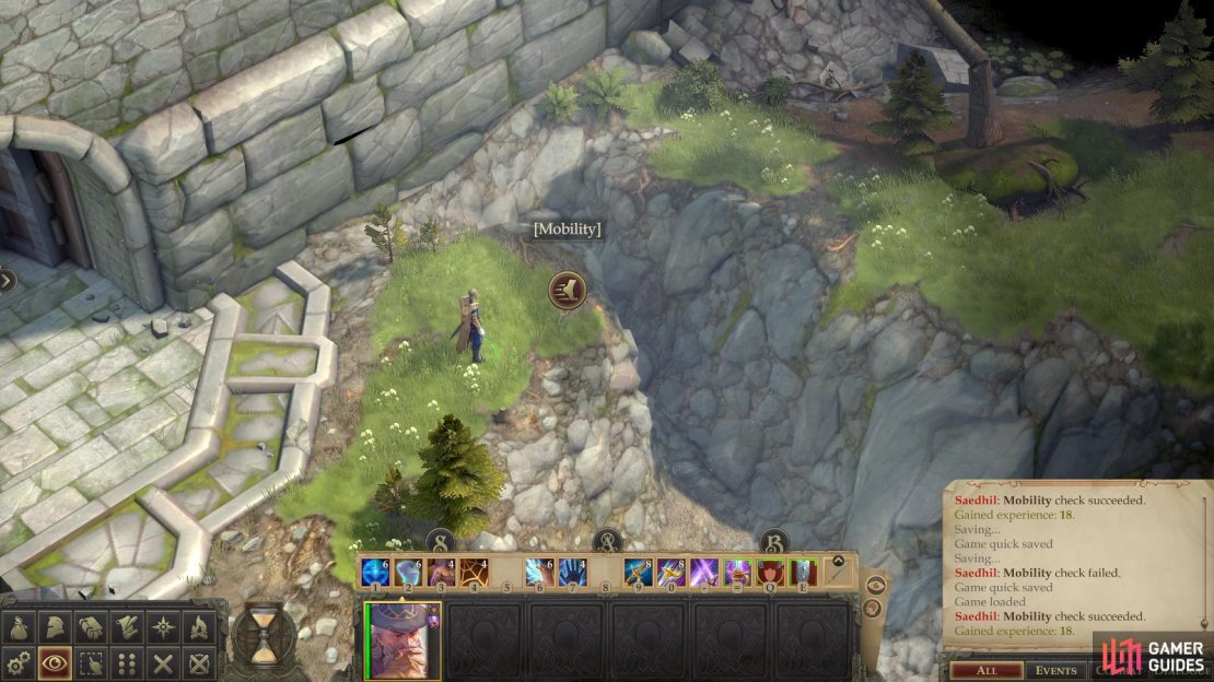 Pass a mobility check to cross a gorge