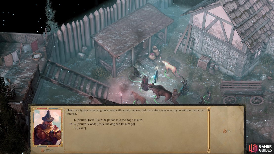 Decide whether to test the elixir on the dog, or set it free.