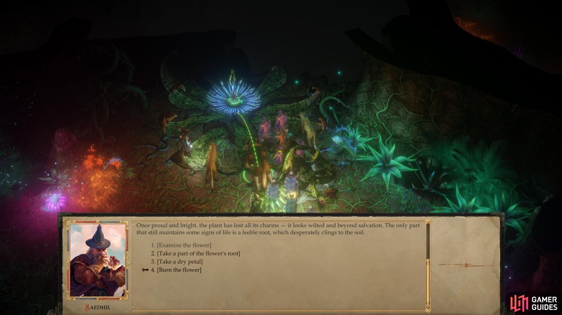 Decide the fate of the Everblooming Flower,