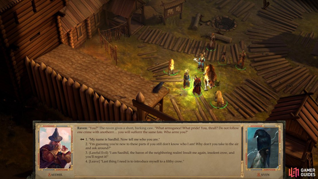 When you leave the stockade, you&rsquo;ll be accosted by a raven - don&rsquo;t reveal your name, there will be consequences later if you do.