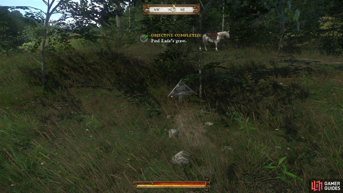 When you have found Lada&rsquo;s grave return to the apothecary in Ledetchko to inform him that the ritual can take place when he is ready.