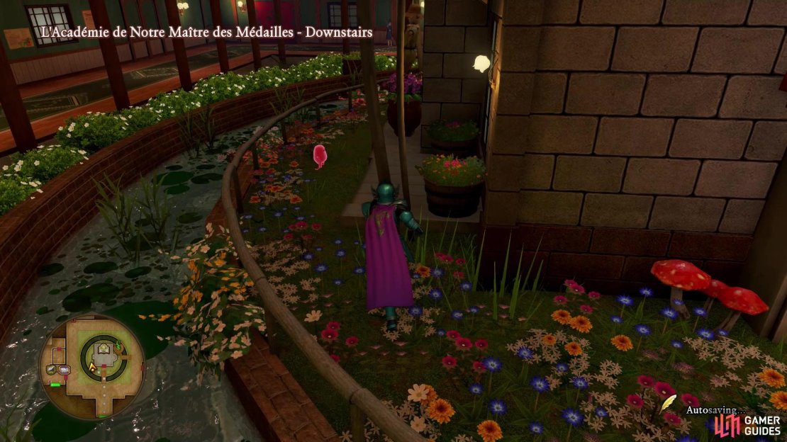 The Tockle that leads you to the Neverglade is right next to Maxime&rsquo;s office at the Medal Academy