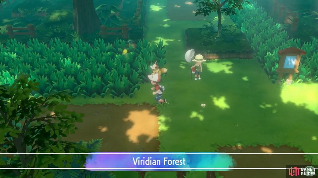 This verdant forest is chock full of new Pok&eacute;mon waiting to be caught.