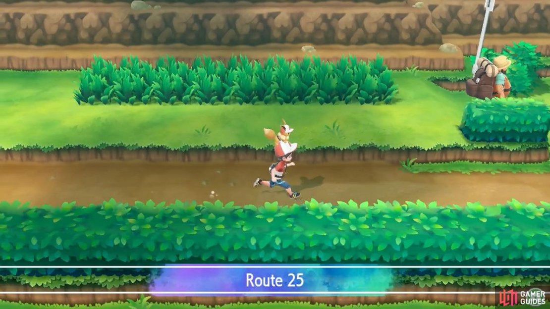 A legendary Pok&eacute;mon collector lives at the end of this route.