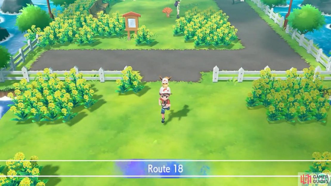 When you reach Route 18, you&rsquo;re at Fuchsia City&rsquo;s doorstep.