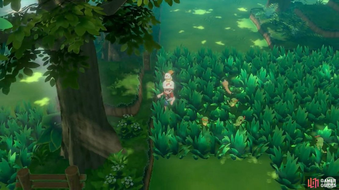 Pok&eacute;mon aren&rsquo;t restricted to tall grass, but they do typically spawn from there.