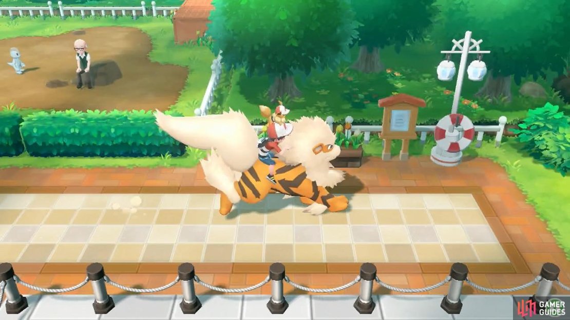 Life doesn&rsquo;t get much better than riding on top of an Arcanine.