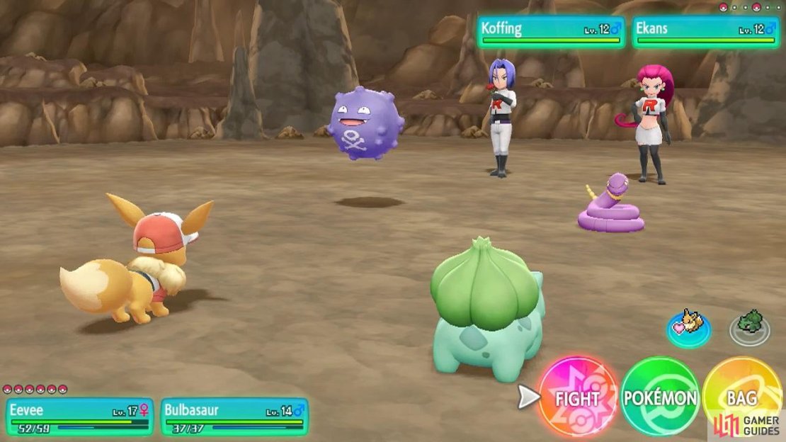 Double the Pok&eacute;mon, double the fun!