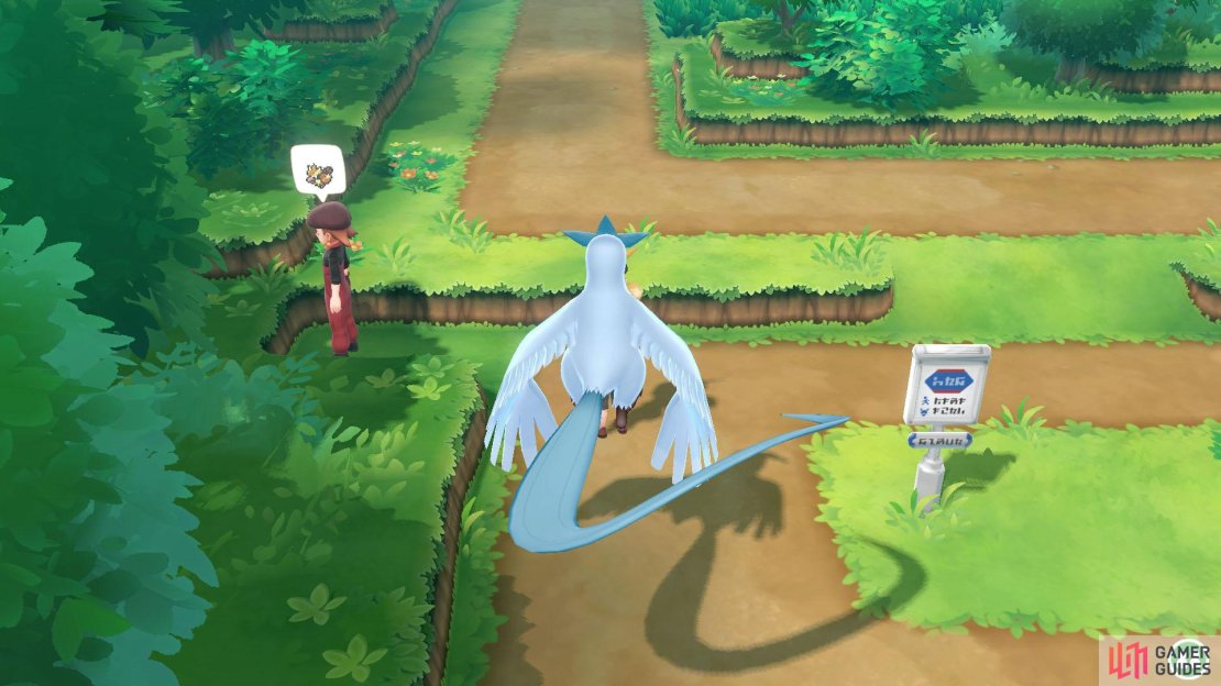 016 Pidgey - Route 2: On the left, near Viridian City.