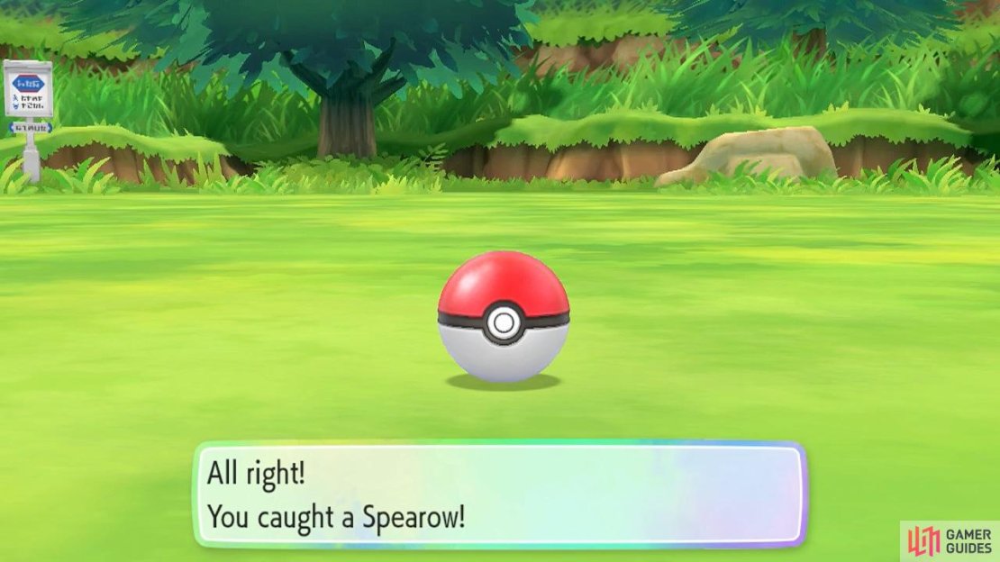 Leave no Pok&eacute;mon behind!