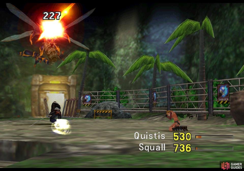 Once you have all the spells you want, dispatch the last Raldo and focus on the Granaldo