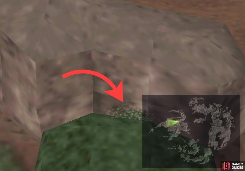Run along the cliffs west of the forest