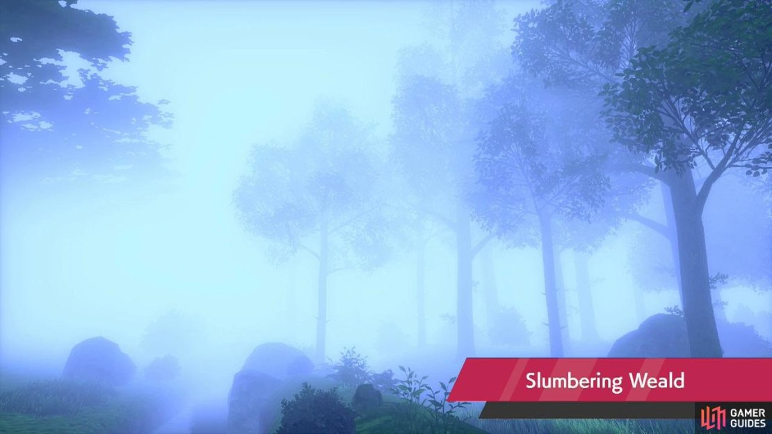 This won&rsquo;t be the first time you visit this peculiar forest.