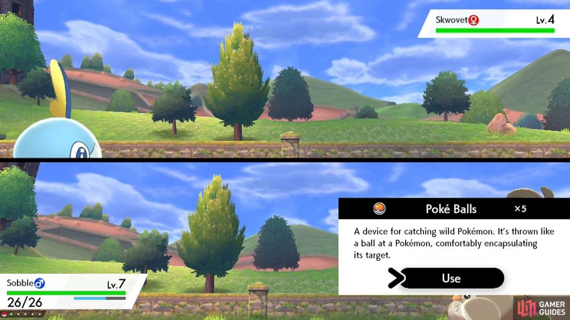 It all begins with a Pok&eacute; Ball&hellip;
