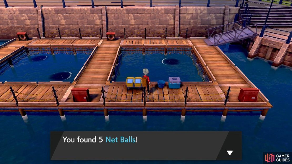 Net Balls are great for catching Water and Bug-type Pok&eacute;mon.