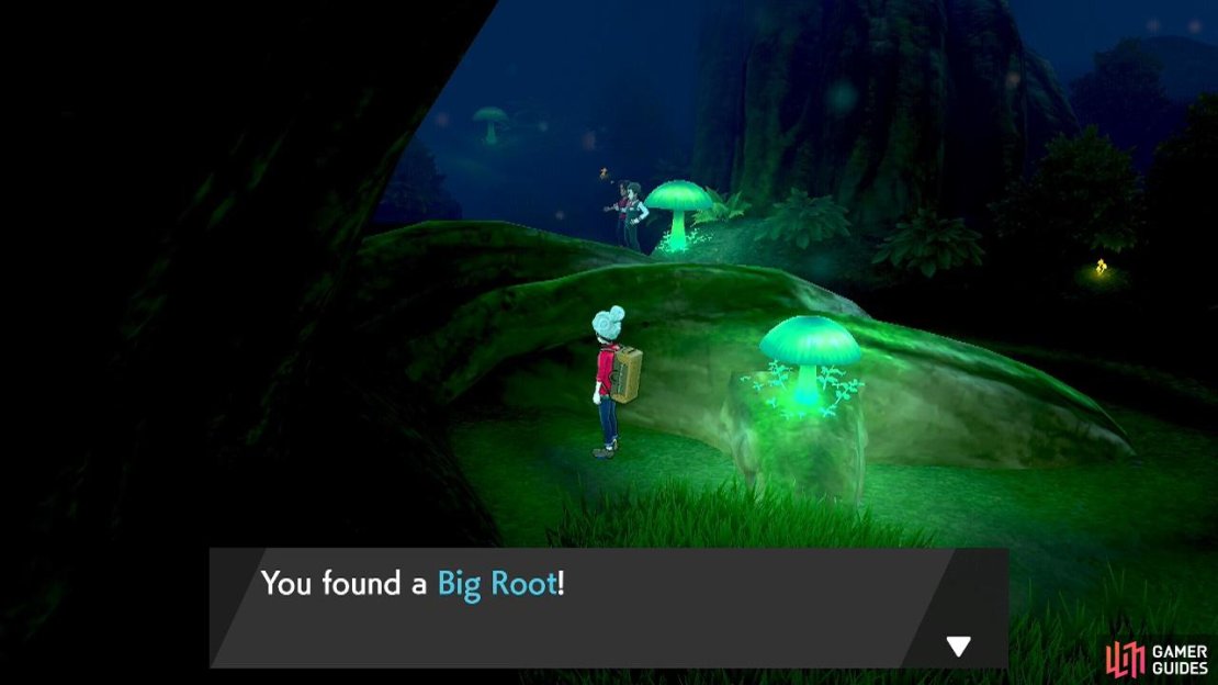 A Pok&eacute;mon holding this will restore more HP than normal if they use moves that drain HP from their opponent.
