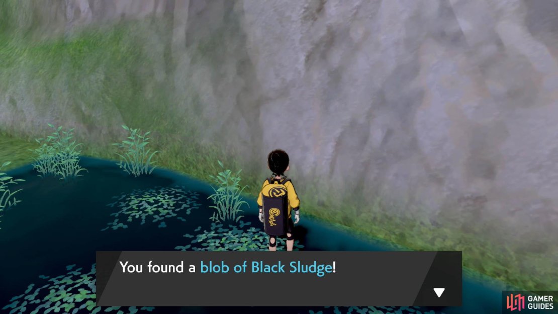 Black Sludge poisons the holder, but heals them if they&rsquo;re a Poison-type.