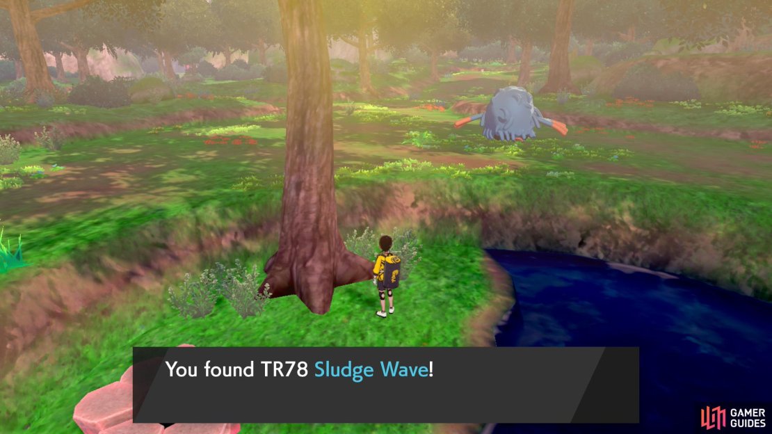 Sludge Wave deals special-based Poison damage. It also hits all  Pok&eacute;mon (including yours) in a Double Battle.