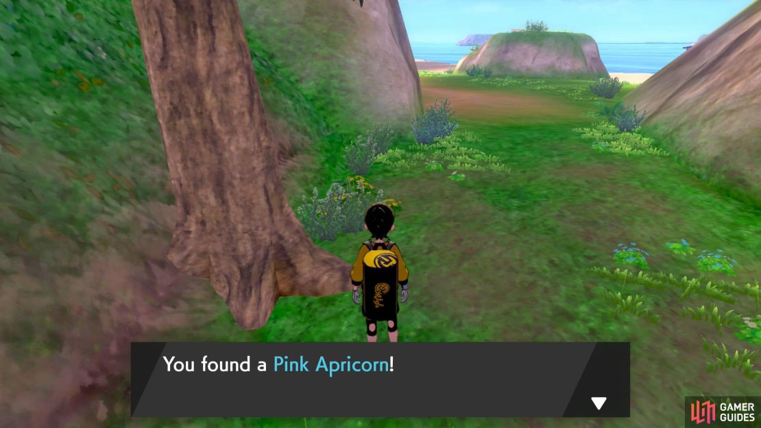 Apricorns can be combined using the Cram-o-Matic for a chance to create special Pok&eacute; Balls.