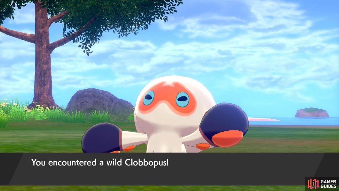 Get used to seeing this fella if you&rsquo;re rummaging through the tall grass.