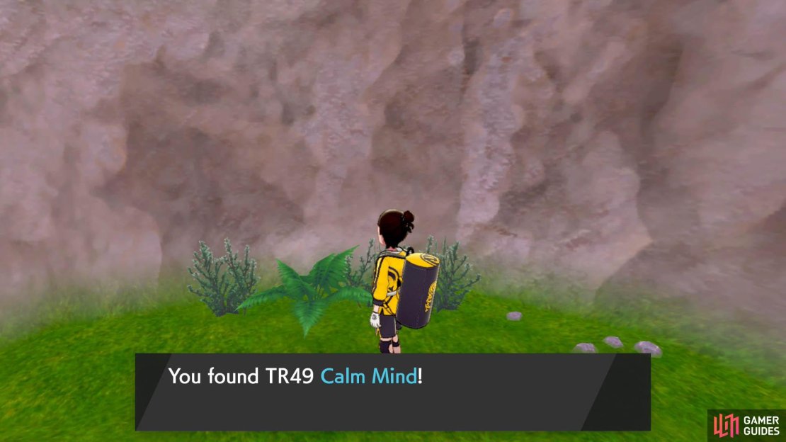Calm Mind is a potent status move that boosts the user&rsquo;s Special Attack and Defense stats.