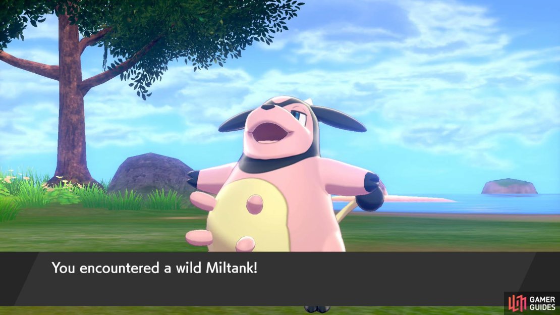 One of the scariest Pok&eacute;mon to fight in Gold and Silver.